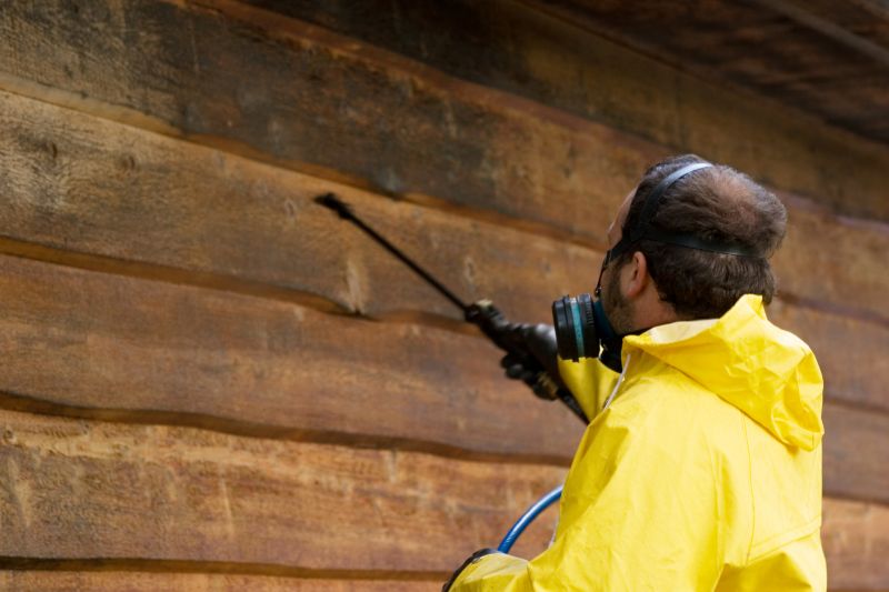 Cleaning Cedar Siding